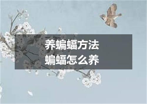 养蝙蝠方法 蝙蝠怎么养