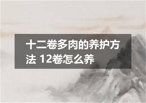 十二卷多肉的养护方法 12卷怎么养