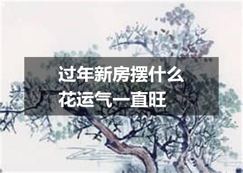 过年新房摆什么花运气一直旺