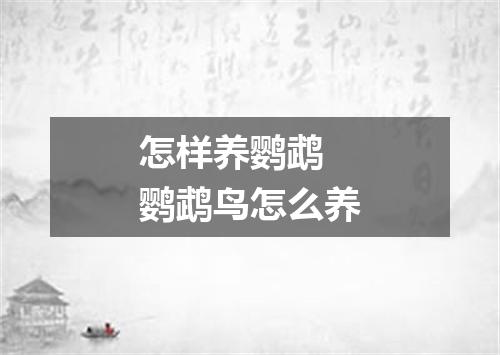 怎样养鹦鹉 鹦鹉鸟怎么养