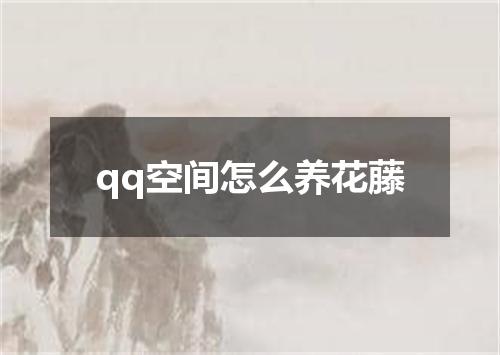 qq空间怎么养花藤