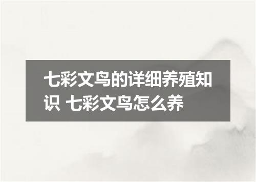 七彩文鸟的详细养殖知识 七彩文鸟怎么养