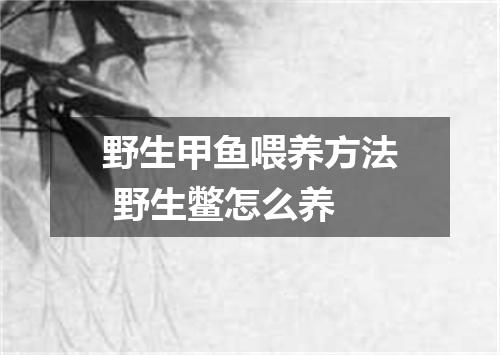 野生甲鱼喂养方法 野生鳖怎么养
