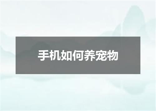 手机如何养宠物