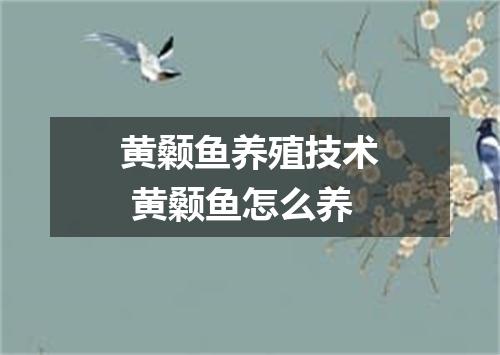 黄颡鱼养殖技术 黄颡鱼怎么养