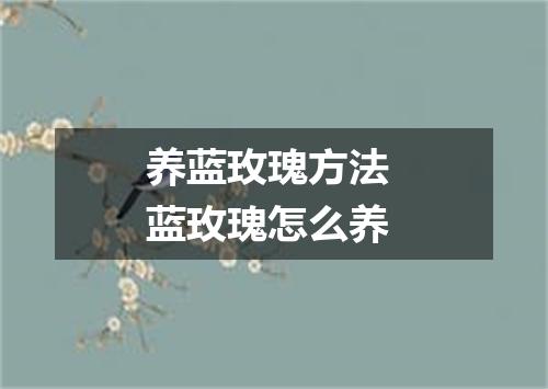 养蓝玫瑰方法 蓝玫瑰怎么养