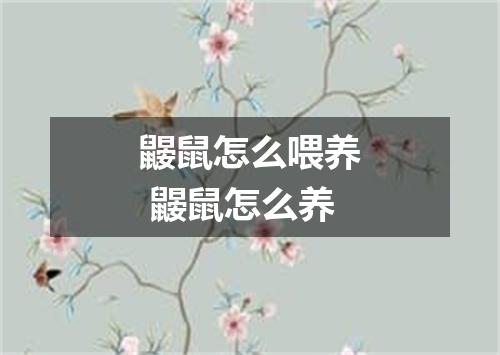 鼹鼠怎么喂养 鼹鼠怎么养