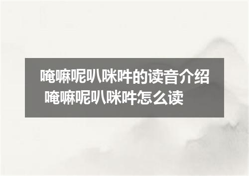 唵嘛呢叭咪吽的读音介绍 唵嘛呢叭咪吽怎么读