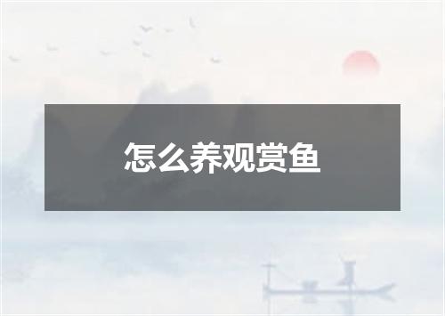 怎么养观赏鱼