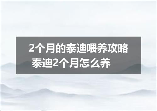 2个月的泰迪喂养攻略 泰迪2个月怎么养