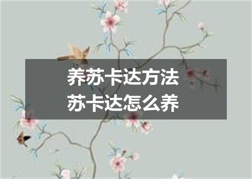 养苏卡达方法 苏卡达怎么养