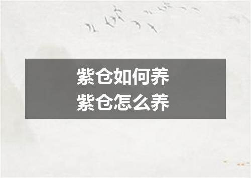 紫仓如何养 紫仓怎么养