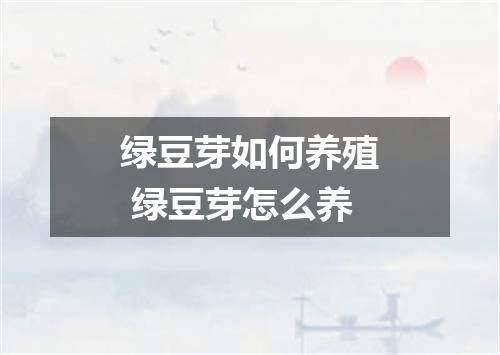 绿豆芽如何养殖 绿豆芽怎么养