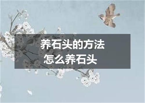 养石头的方法 怎么养石头