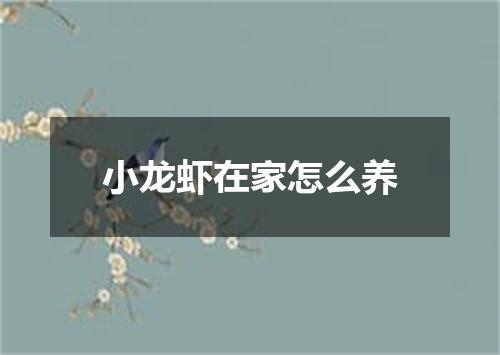 小龙虾在家怎么养