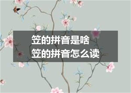 笠的拼音是啥 笠的拼音怎么读