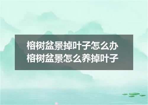 榕树盆景掉叶子怎么办 榕树盆景怎么养掉叶子