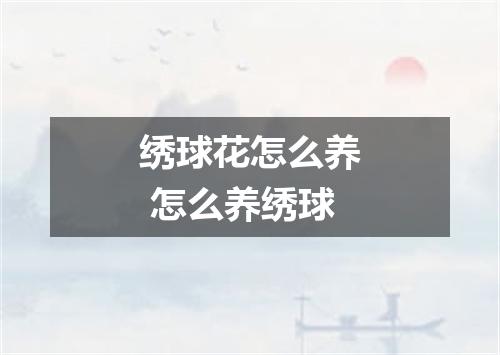 绣球花怎么养 怎么养绣球