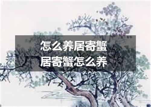 怎么养居寄蟹 居寄蟹怎么养