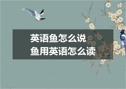 英语鱼怎么说 鱼用英语怎么读