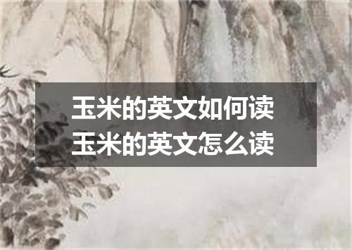 玉米的英文如何读 玉米的英文怎么读