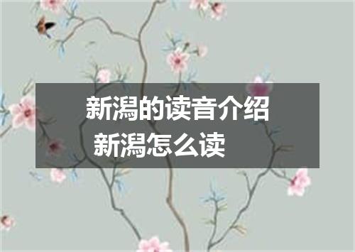 新潟的读音介绍 新潟怎么读