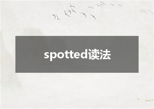 spotted读法