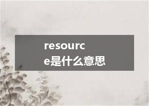resource是什么意思