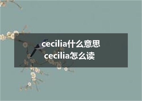 cecilia什么意思 cecilia怎么读