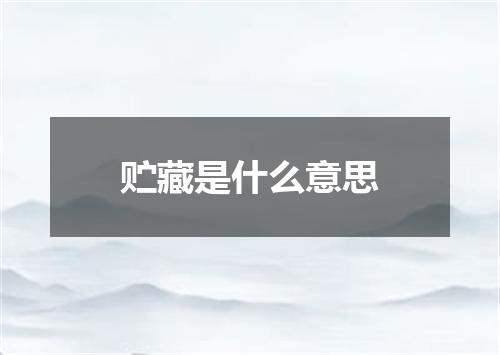 贮藏是什么意思