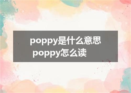 poppy是什么意思 poppy怎么读