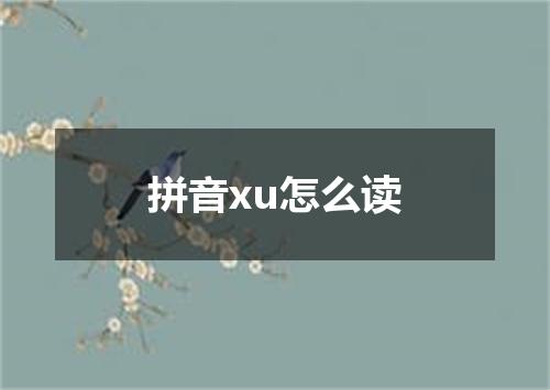 拼音xu怎么读