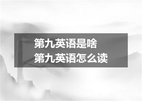 第九英语是啥 第九英语怎么读