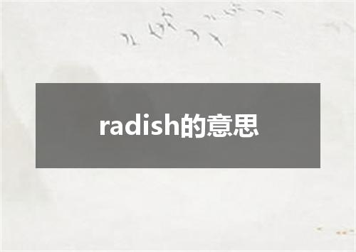 radish的意思