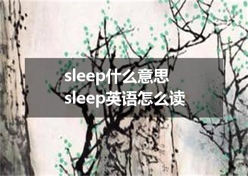 sleep什么意思 sleep英语怎么读