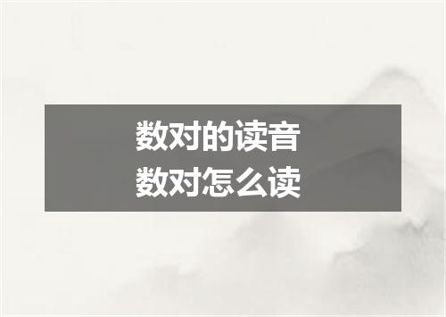 数对的读音 数对怎么读