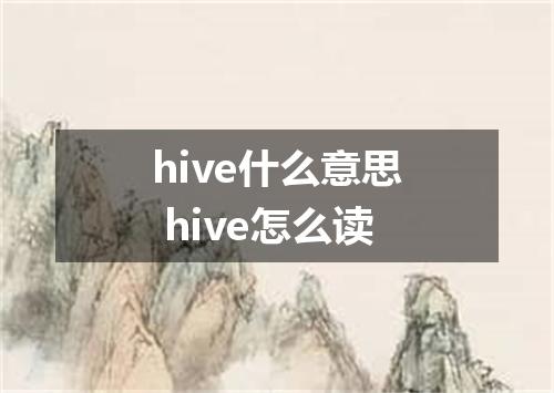 hive什么意思 hive怎么读