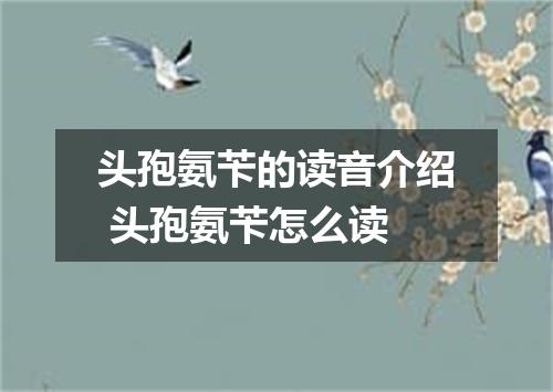 头孢氨苄的读音介绍 头孢氨苄怎么读