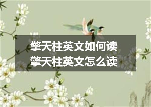 擎天柱英文如何读 擎天柱英文怎么读