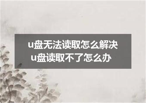 u盘无法读取怎么解决 u盘读取不了怎么办