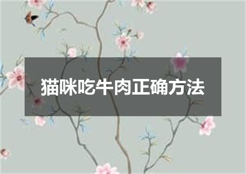 猫咪吃牛肉正确方法