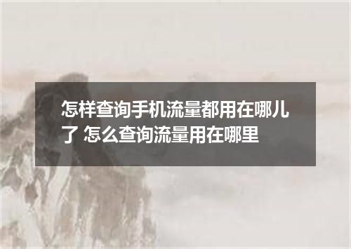 怎样查询手机流量都用在哪儿了 怎么查询流量用在哪里