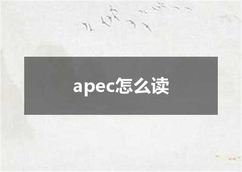 apec怎么读