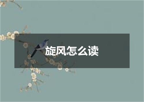 旋风怎么读