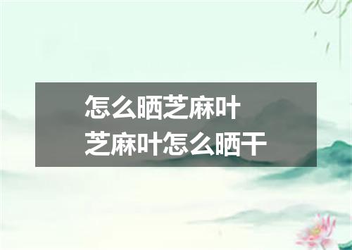 怎么晒芝麻叶 芝麻叶怎么晒干