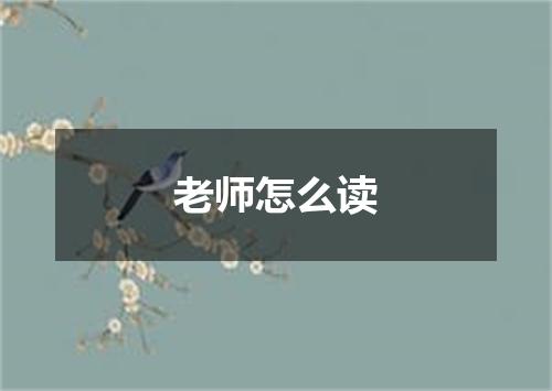 老师怎么读