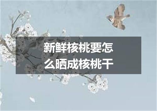 新鲜核桃要怎么晒成核桃干