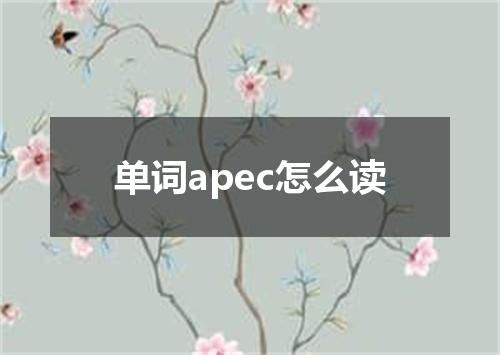 单词apec怎么读