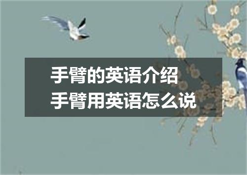 手臂的英语介绍 手臂用英语怎么说