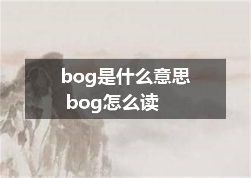 bog是什么意思 bog怎么读